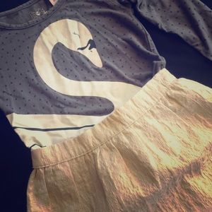 Swan outfit. Bodysuit and skirt